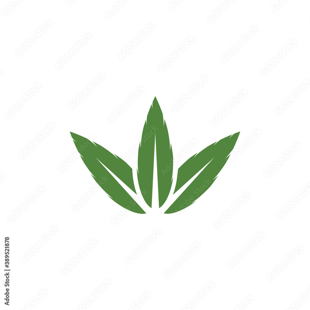 Fototapeta premium Leaf Logo Template vector symbol
