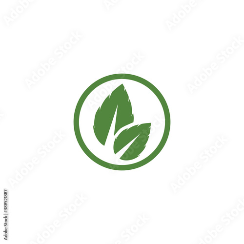 Leaf Logo Template vector symbol