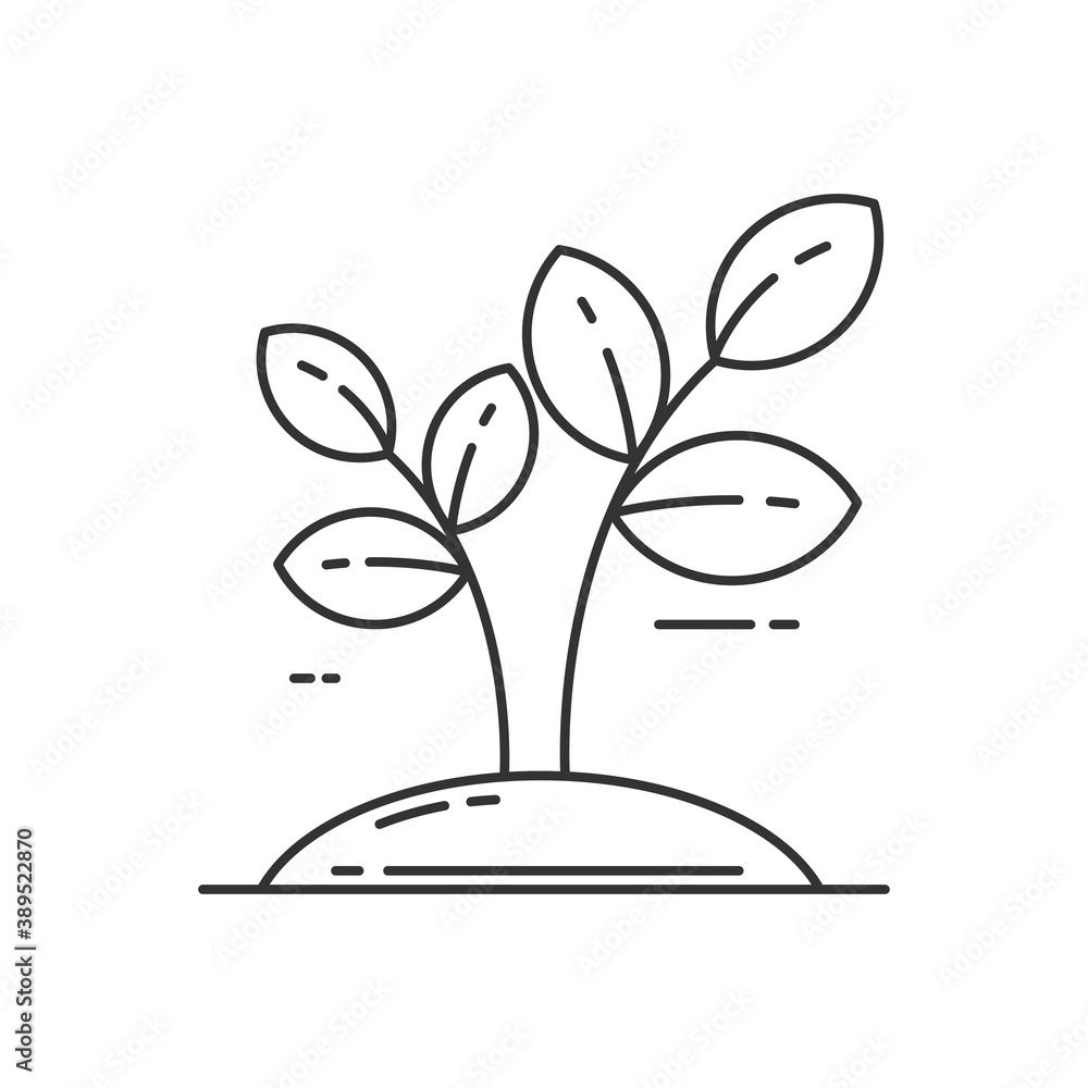 Linear style of sprout icon with black color isolated on white background. Simple line sprout vector illustration Linear style of sprout icon with black color isolated on white background. Simple line sprout vector illustration