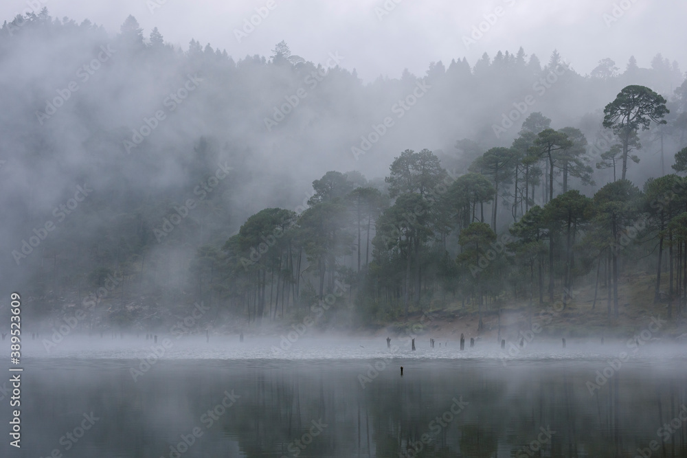 Montaña brumosa a la orilla de un lago, con neblina entre los arboles