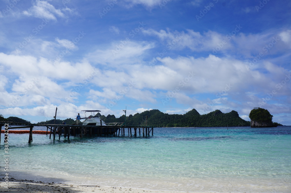 Pier at Raja Ampat Papua