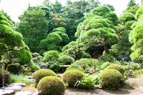 日本庭園 photo