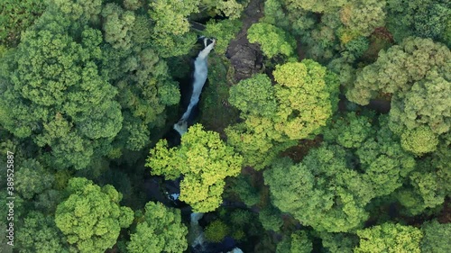 aerial drone shot looking down at Aira force falls waterfalls located near Ullswater in the Lake District. photo