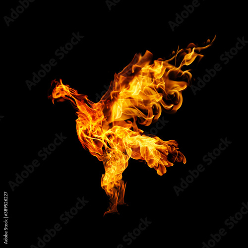 burning fiery bird flies on a black background © photodeedooo
