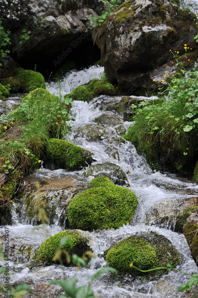 Almaty / Kazakhstan - 06.24.2012 : The mountain river cascades over rocks and grass. Almaty / Kazakhstan - 06.24.2012 : The mountain river cascades over rocks and grass.