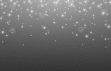 Vector snow. Winter. Snow png, snowfall. White vector dust, dust png. Vector illustration.