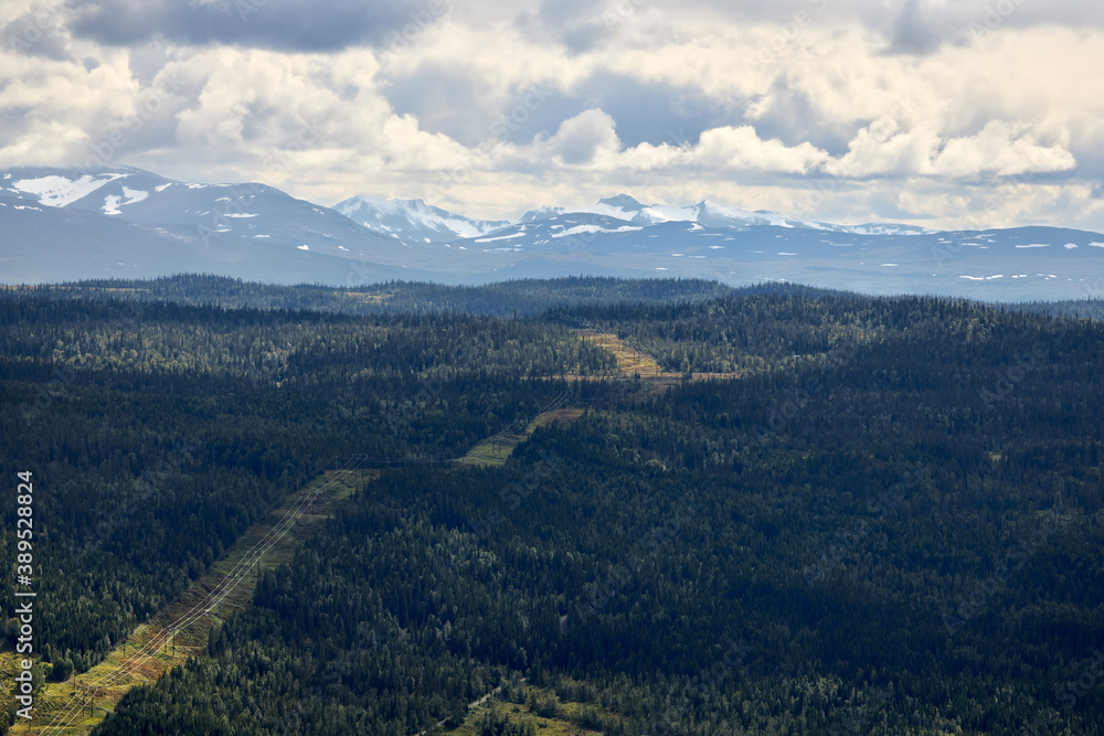 Power line gate in the Swedish Jämtland forests in the direction of high mountain peaks. Electricity line in the forest.