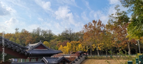 한국 궁궐 가을 낙엽 지붕