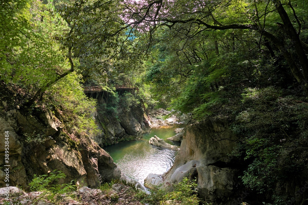 愛媛県湧ヶ淵渓谷の川の流れと古い遊歩道
