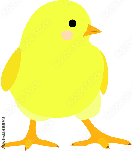 one little cute yellow chiken