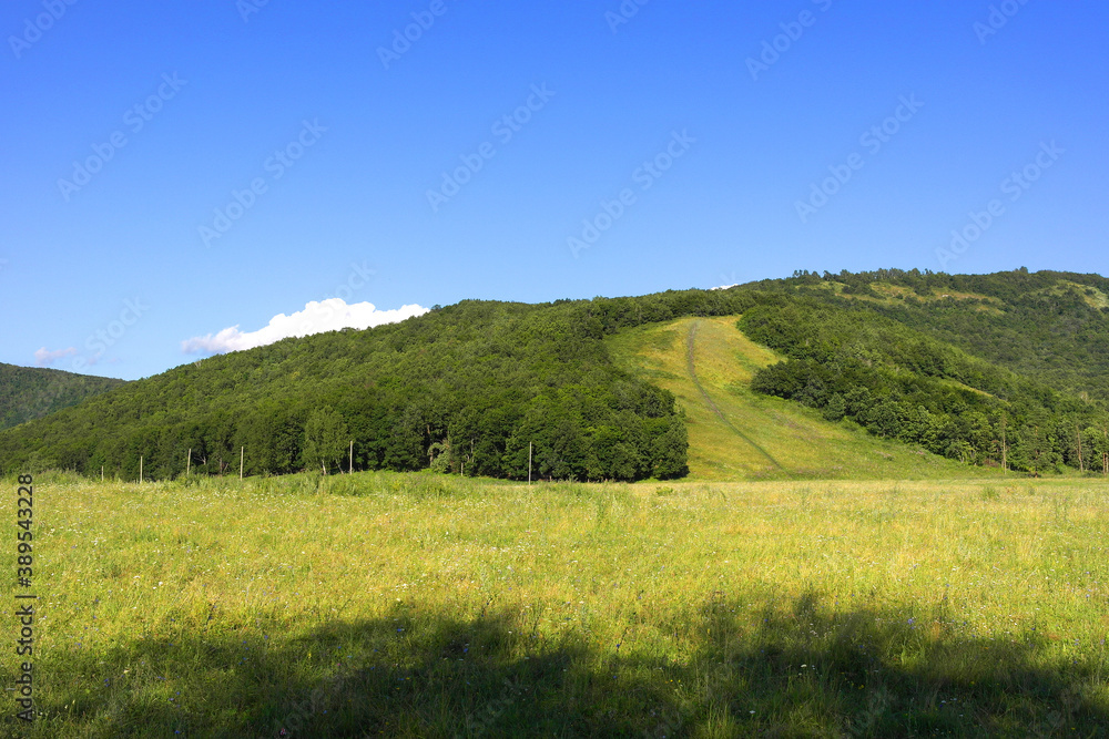 Fototapeta premium beautiful summer landscape