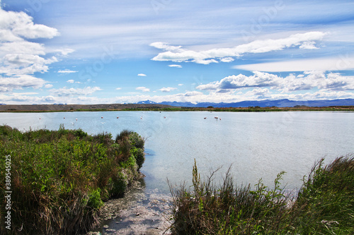 Laguna Nimez Reserva in El Calafate  Patagonia  Argentina