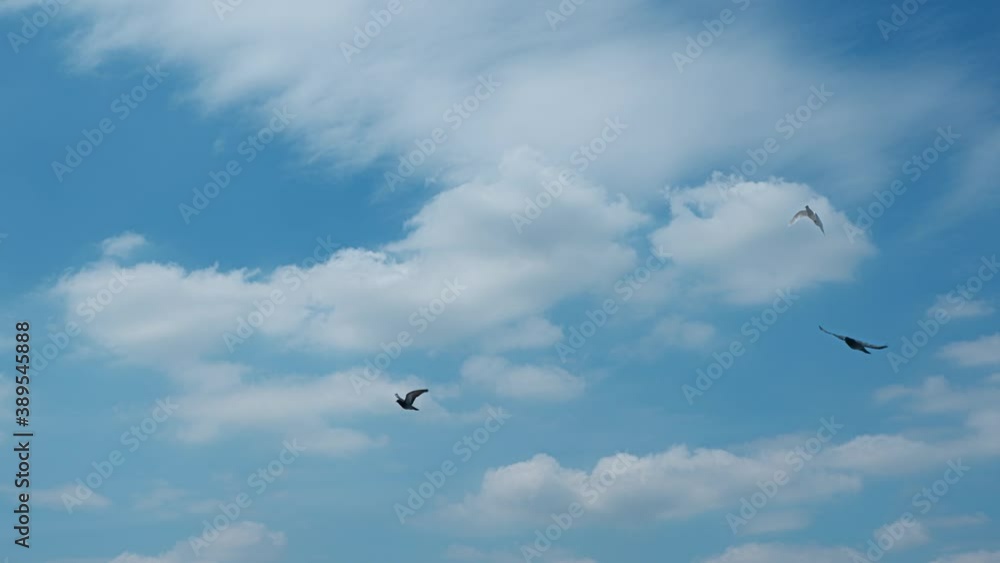 4K sky time lapse, White and blue clouds background. Cloud nature, timelapse of skyscrapers 4K sky time lapse, White and blue clouds background. Cloud nature, timelapse of skyscrapers
