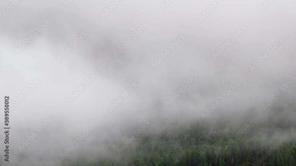 Time lapse video of morning fog in the Altai mountains. Mist in pine mountain forest Time lapse video of morning fog in the Altai mountains. Mist in pine mountain forest