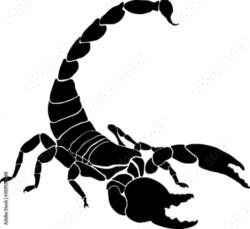 vector illustration of a scorpion