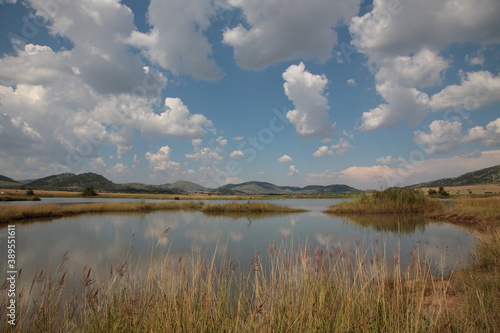 View of Pilanesberg National Park with mountains, grassland and dead tree in lake during Spring in South Africa © CYSUN