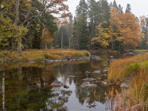 River landscape in autumn. Farnebofjarden national park in Sweden.