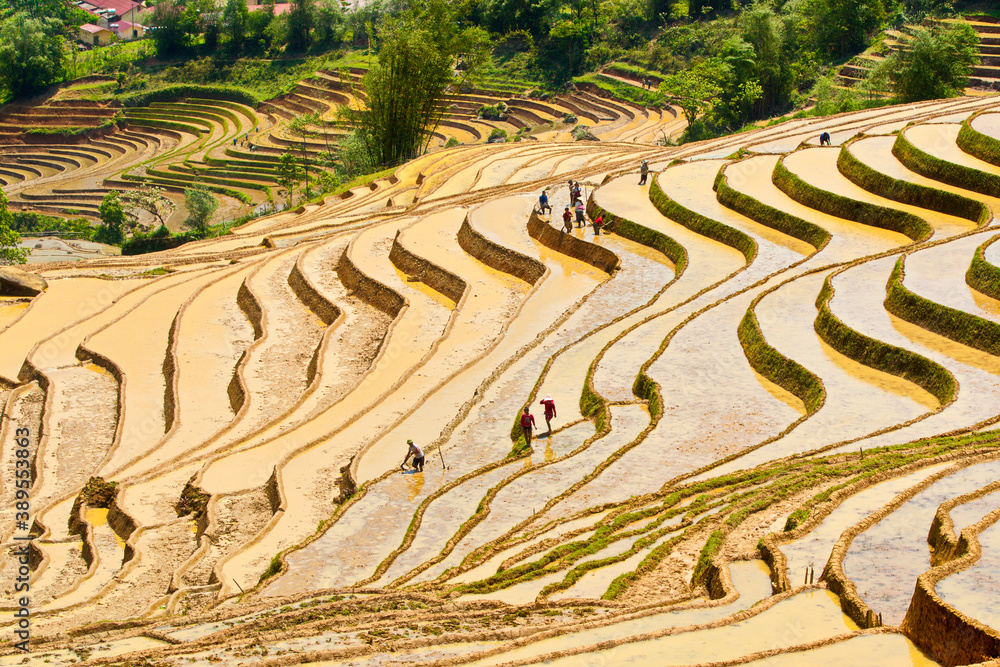Y TY, LAO CAI, VIETNAM - MAY 9 2020: Ethnic farmers working on the terraced fields.