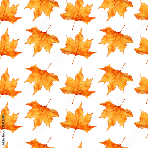 Watercolor autumn leafes seamless pattern isolated on white