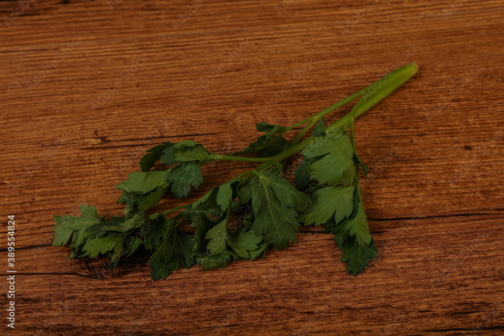 Green fresh parsley branch herb Green fresh parsley branch herb