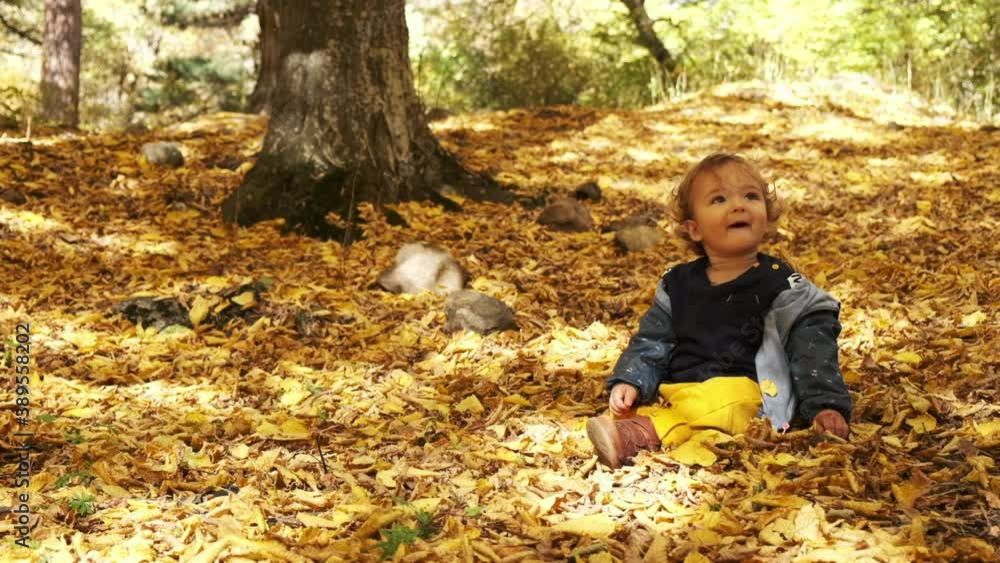 Little baby boy sitting on grass in fallen leaves in park on bright and sunny autumn day looking at yellow leaf in hand and smiling. Happy baby boy laughs outdoors. Little baby boy sitting on grass in fallen leaves in park on bright and sunny autumn day looking at yellow leaf in hand and smiling. Happy baby boy laughs outdoors.