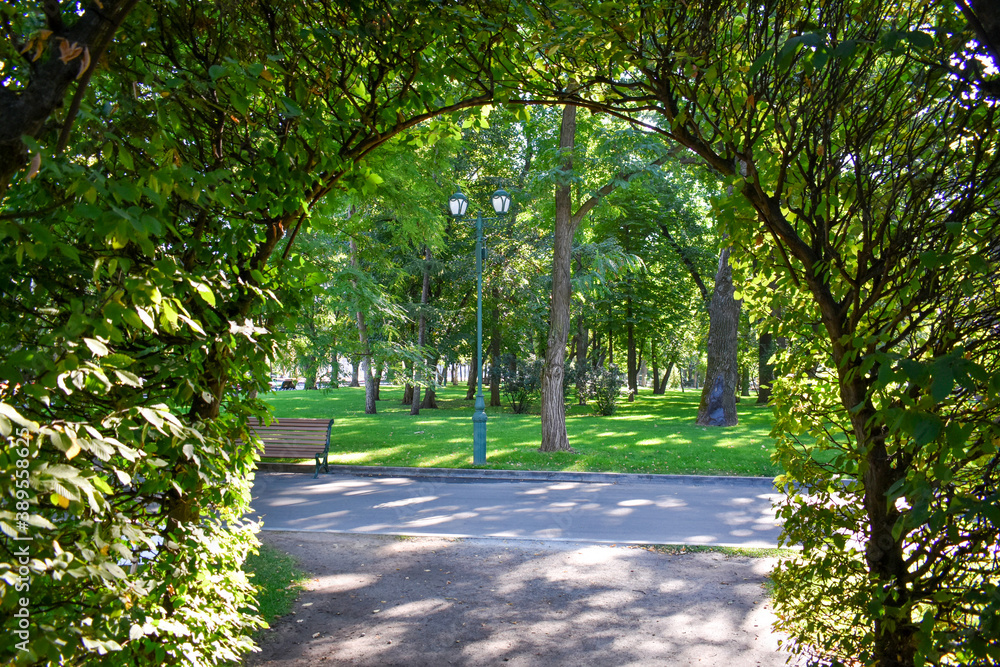 Obraz premium alley in the park