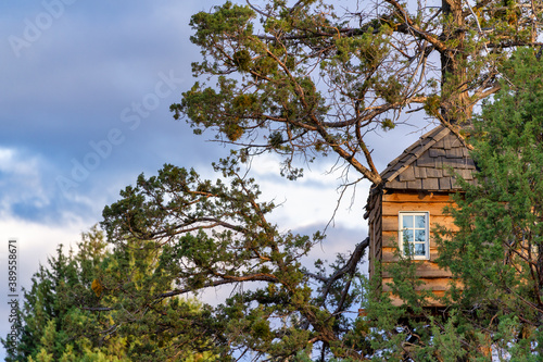 A treehouse in a tree on a farm © Wasim