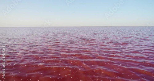 Pink saline sea with small wave / salt lake water evaporation ponds with pink plankton colour. Aerial top down wide shot at summer sunny day