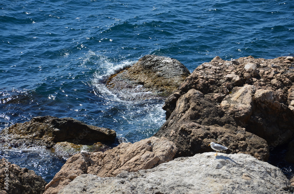 rocks in the sea rocks in the sea