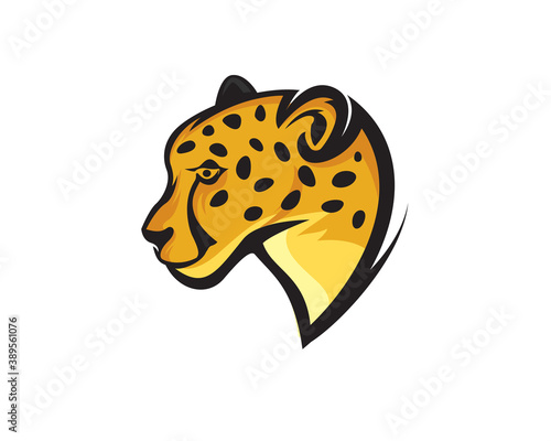 head profile cat, tiger, lion, jaguar, cheetah, panther logo mascot design