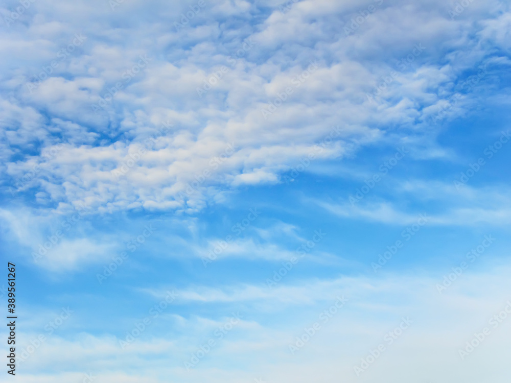 Clouds in the summer blue sky Clouds in the summer blue sky