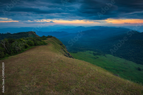 Fototapeta Naklejka Na Ścianę i Meble -  Landscape of  meadow on high mountain in Doi Mon Chong, Chiangmai, Thailand.