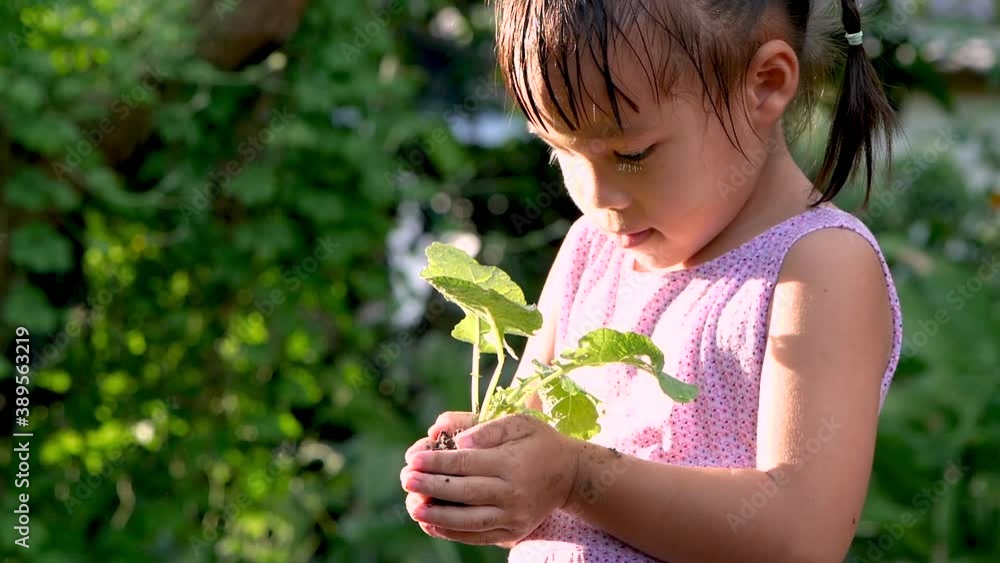 Mother's hands giving small plant to little girl against spring green background. Save The World and Ecology concept. Mother's hands giving small plant to little girl against spring green background. Save The World and Ecology concept.