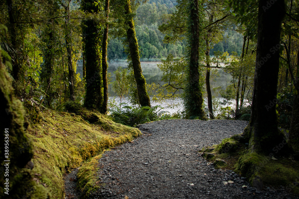 Forests and walking tracks around Lake Matheson, South Island, New Zealand