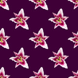 seamless pattern of Lily flower bloom. Lily flowers over pink background seamless texture. flat lay flower pattern