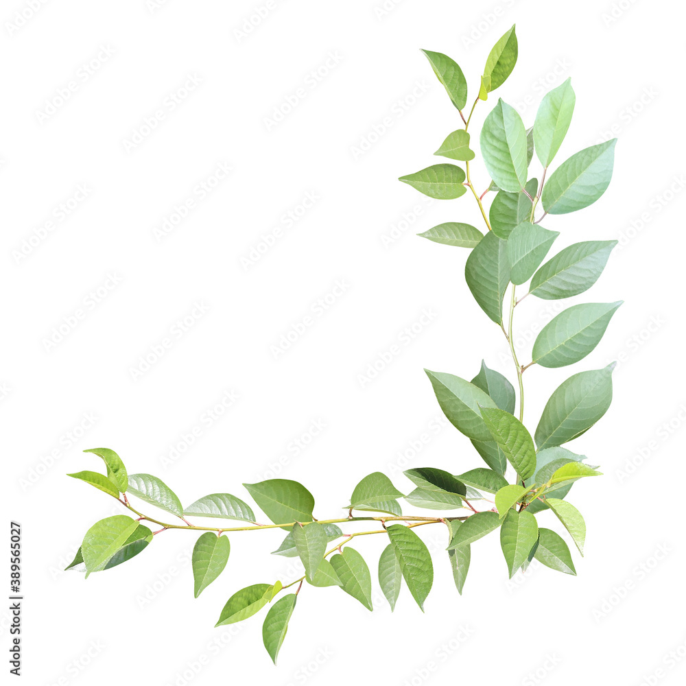 Decorative angle with branch with green leaves Decorative angle with branch with green leaves