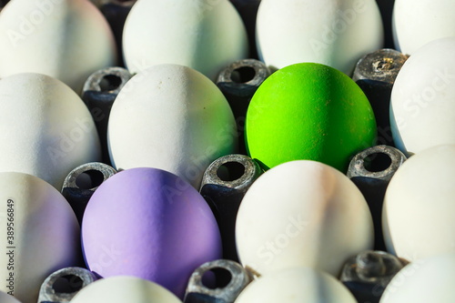 Many eggs are white  green  red  purple  sold in the market 