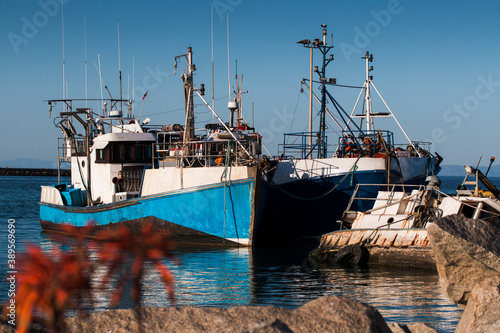 Εκτύπωση καμβά Fishing boats docked at a small harbor on the West Coast of South Africa