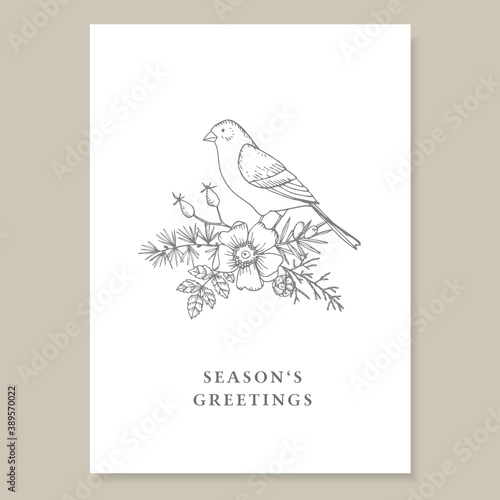 Elegant Christmas vintage greeting card, invitation. Decorative floral composition. Hand drawn goldfinch bird sitting on larch and yew tree branches. Wild flower and rose hips. Engraving illustration.