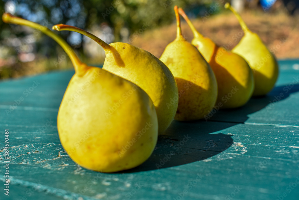 Ripe pears on a wooden table in a row