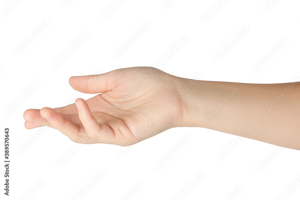 Beautiful female hand with open palm isolated on white background... Beautiful female hand with open palm isolated on white background...