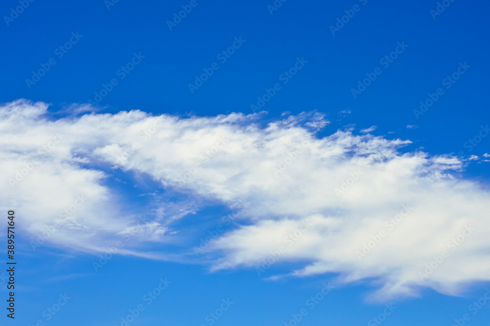 Naklejka premium 青空と白い雲