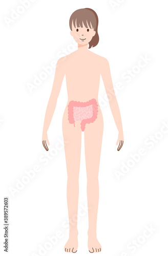 腸と女性