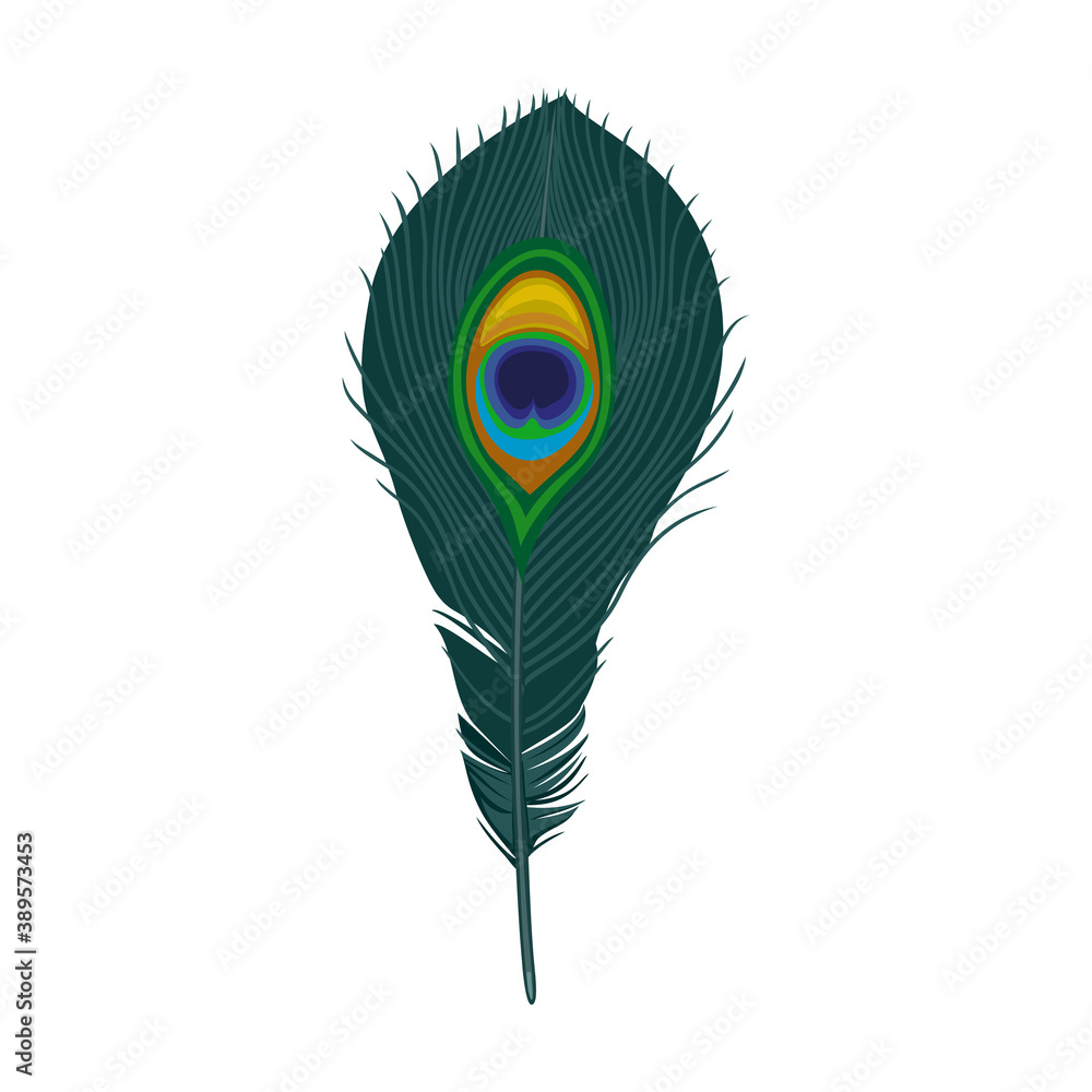 Feather of bird cartoon vector icon.Cartoon vector illustration watercolor of pen. Isolated illustration of feather of bird icon on white background. Feather of bird cartoon vector icon.Cartoon vector illustration watercolor of pen. Isolated illustration of feather of bird icon on white background.