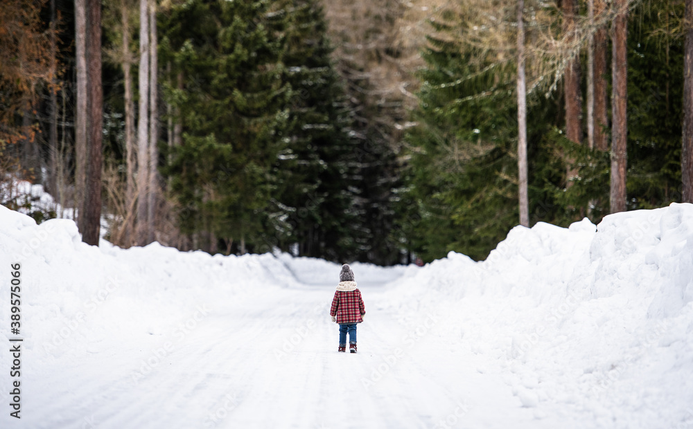 Rear view of small girl walking on road in winter nature.