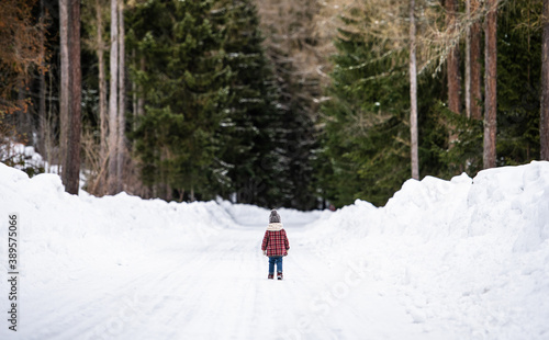 Rear view of small girl walking on road in winter nature.