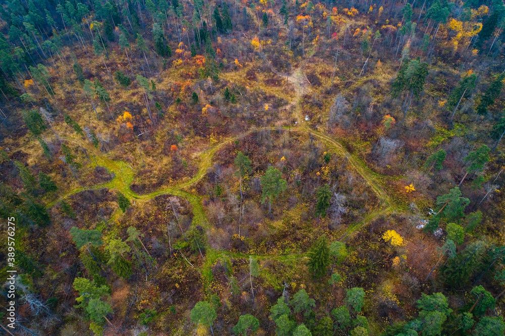 The autumn landscape with pine trees and trails was shot directly from above.