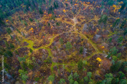 Obraz na płótnie The autumn landscape with pine trees and trails was shot directly from above. w salonie