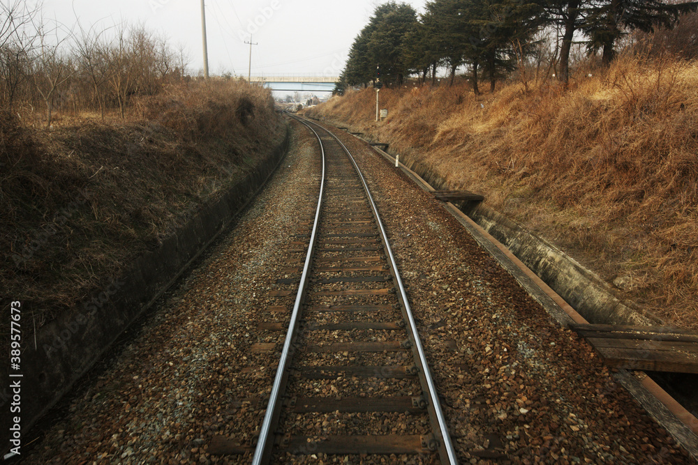 Fototapeta premium railway tracks in the morning