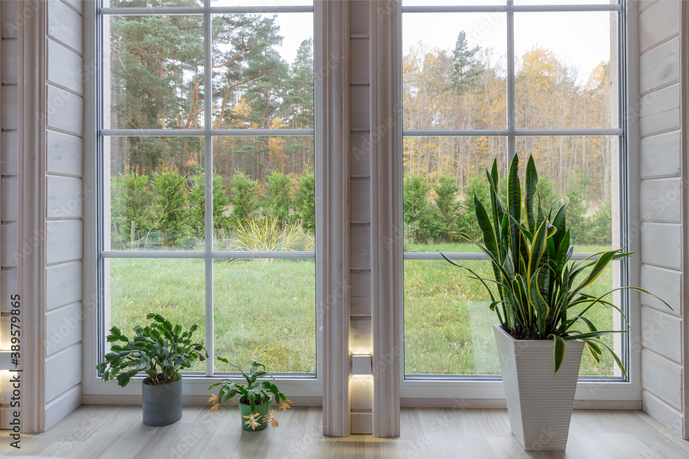 Bright photo studio interior with big window, high ceiling, white wooden floor Bright photo studio interior with big window, high ceiling, white wooden floor